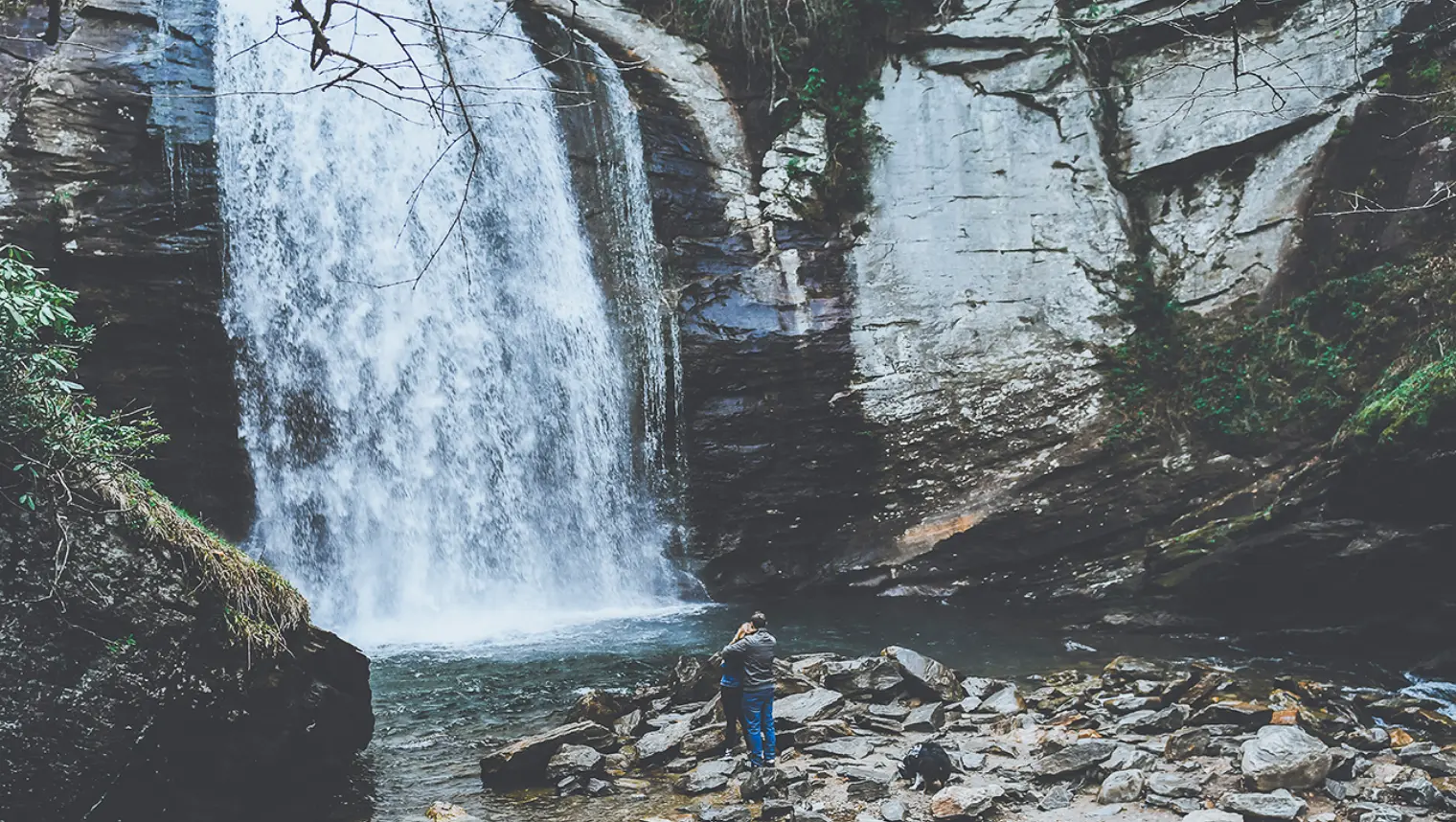 Family Photographer Asheville NC